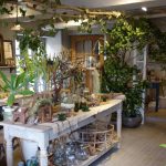 勝地涼の実家の花屋の場所は?前田有紀が勤務!絵の才能がすごい!