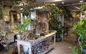 勝地涼の実家の花屋の場所は?前田有紀が勤務!絵の才能がすごい!